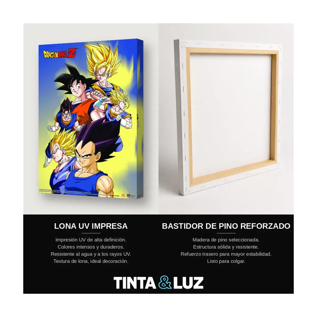 DRAGON BALL Z