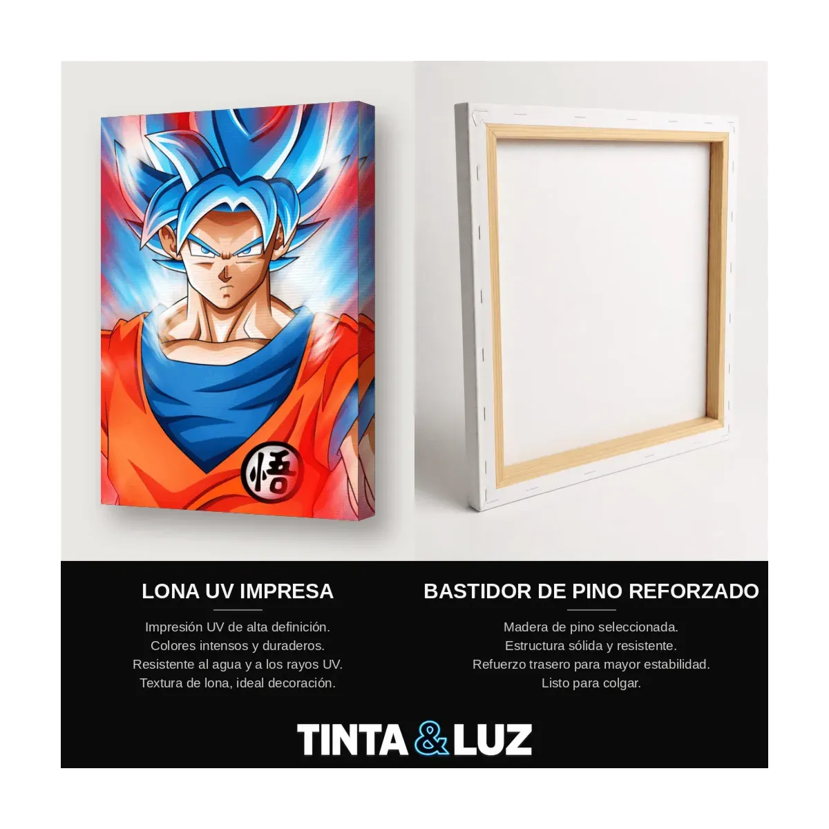 GOKU ULTRA INSTINTO