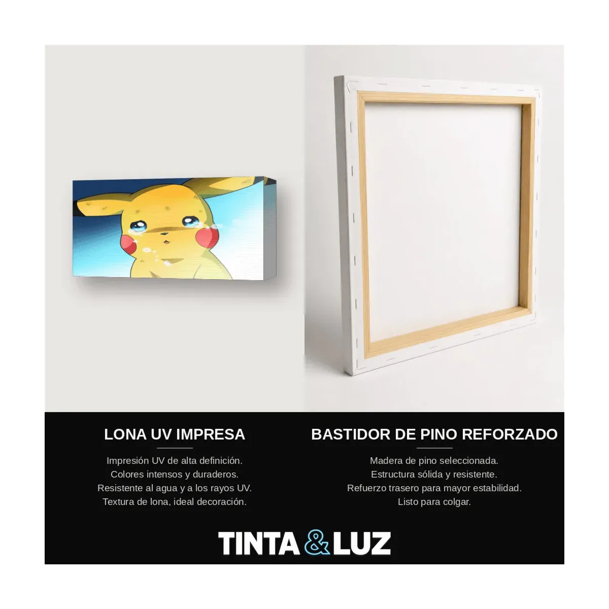ESCUADRÓN ANIME