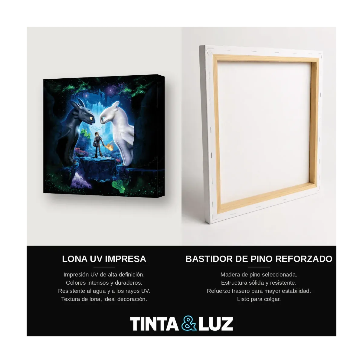 FURIA BLANCA