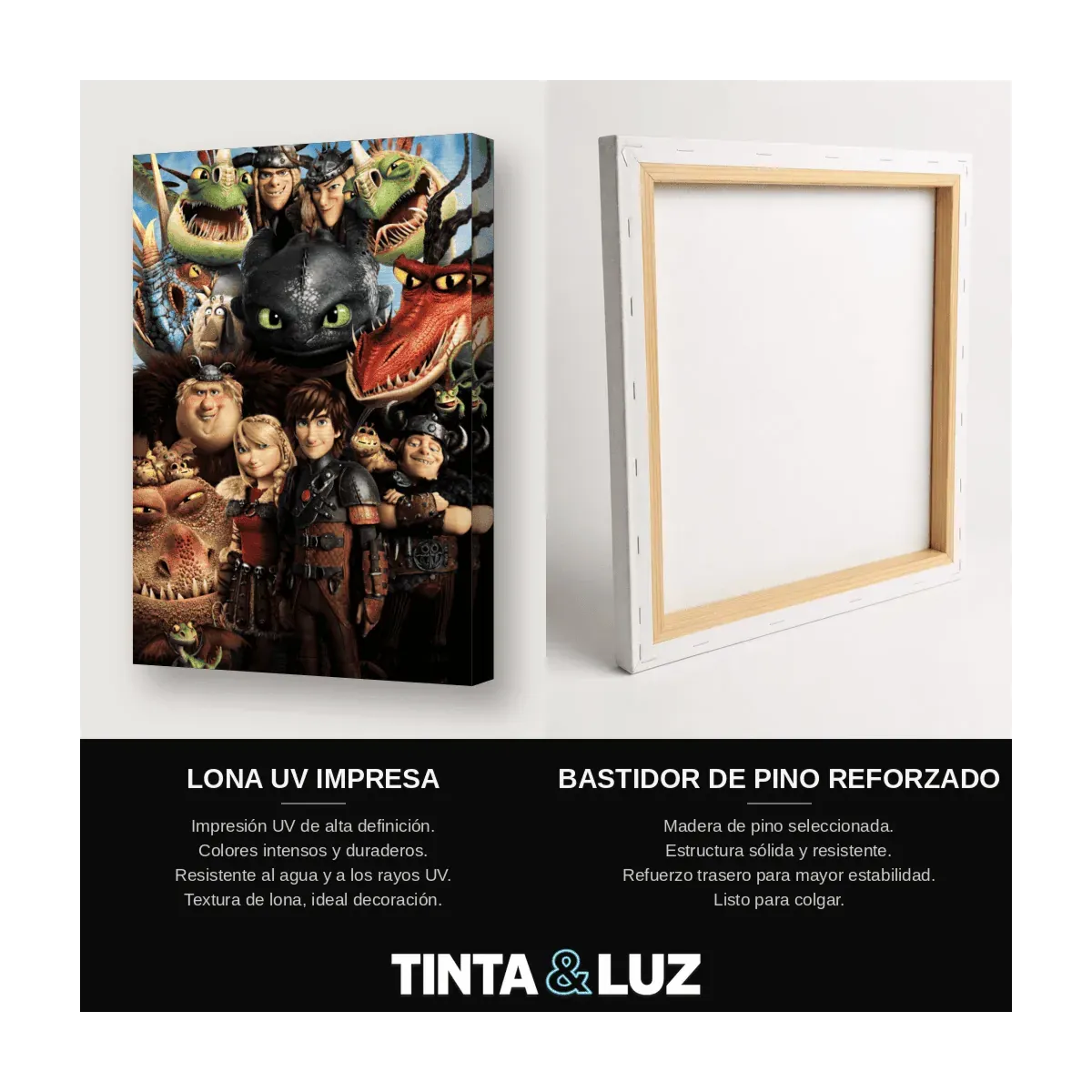 JINETES DE DRAGONES