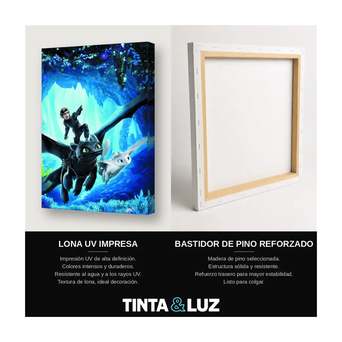 DRAGÓN Y JINETE