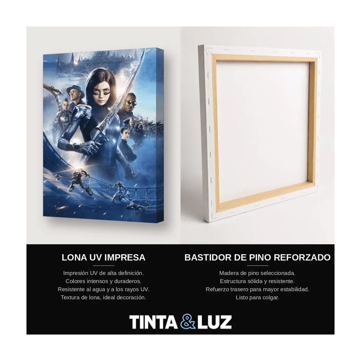 GUERRERA DEL HIELO