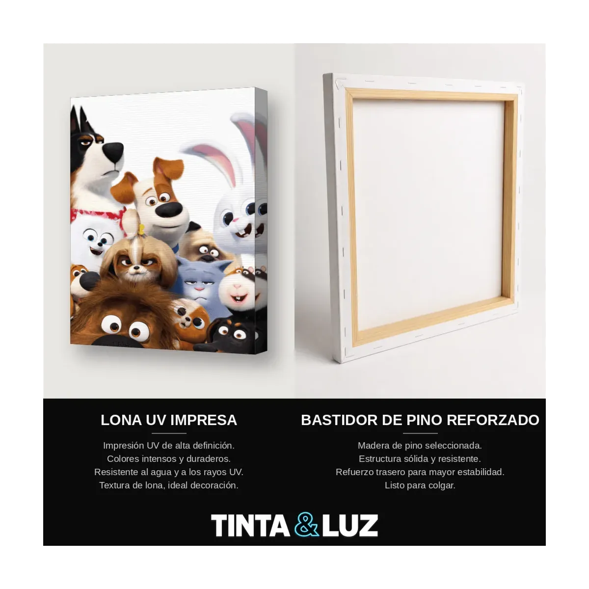MASCOTAS