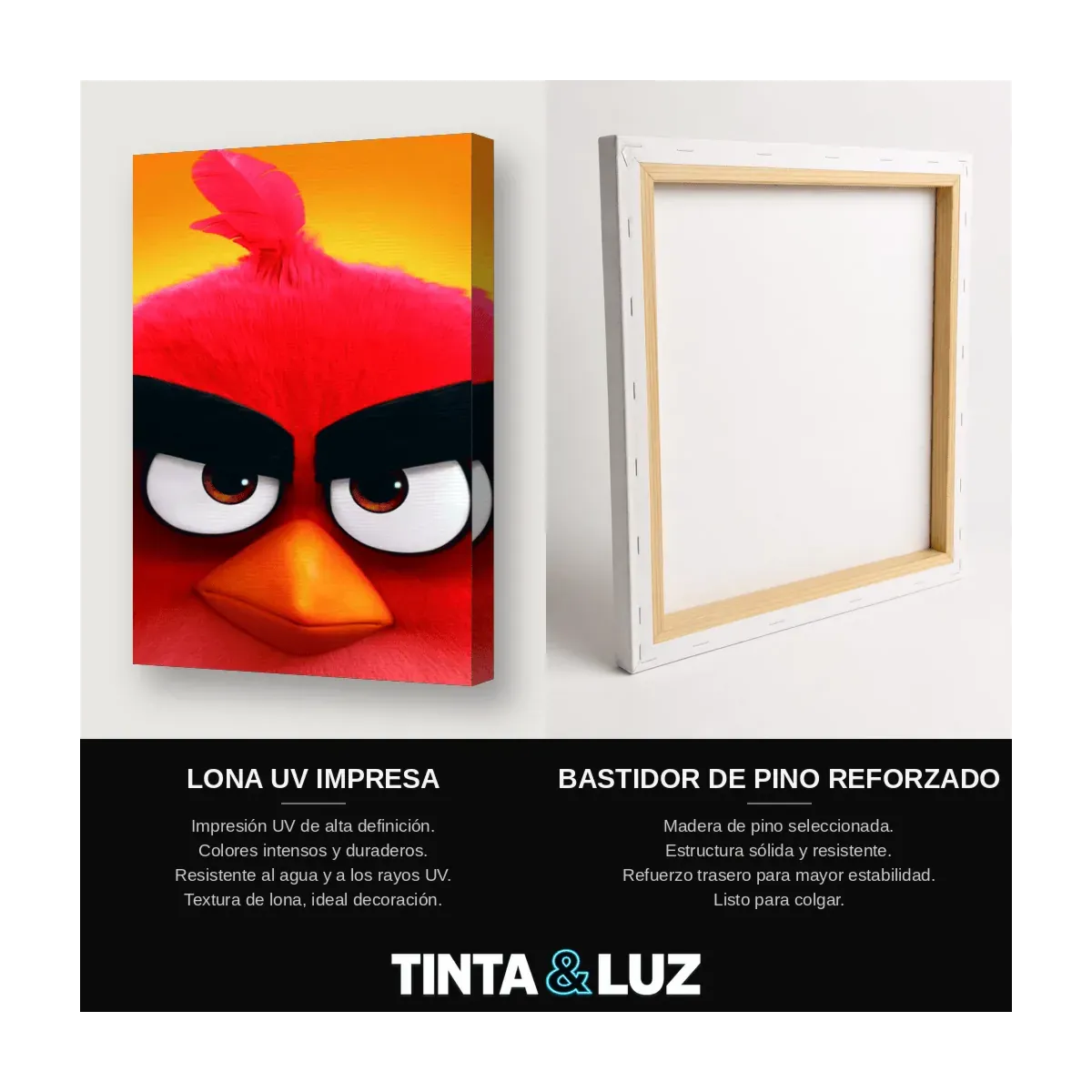 ANGRY BIRDS