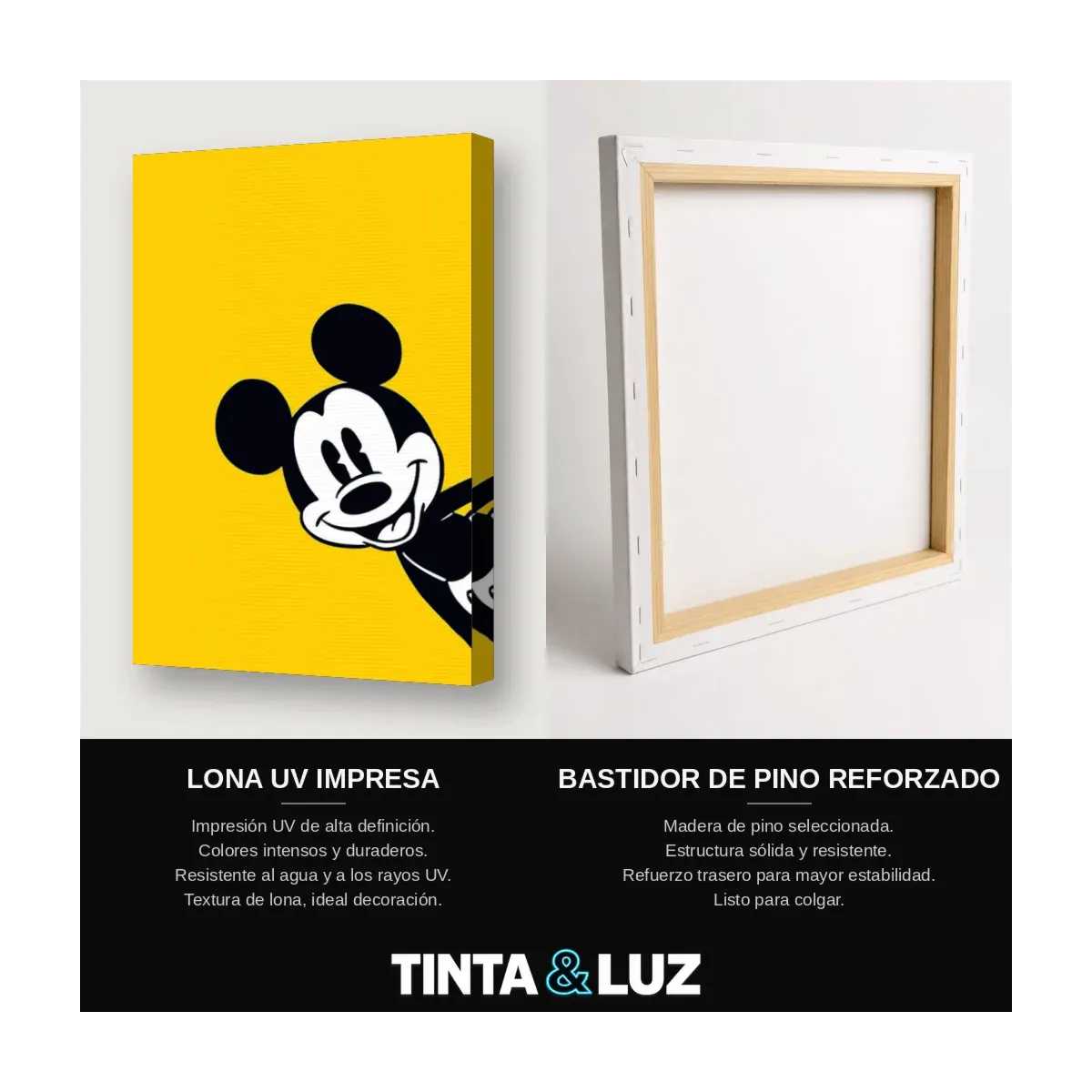 MICKEY ROJO