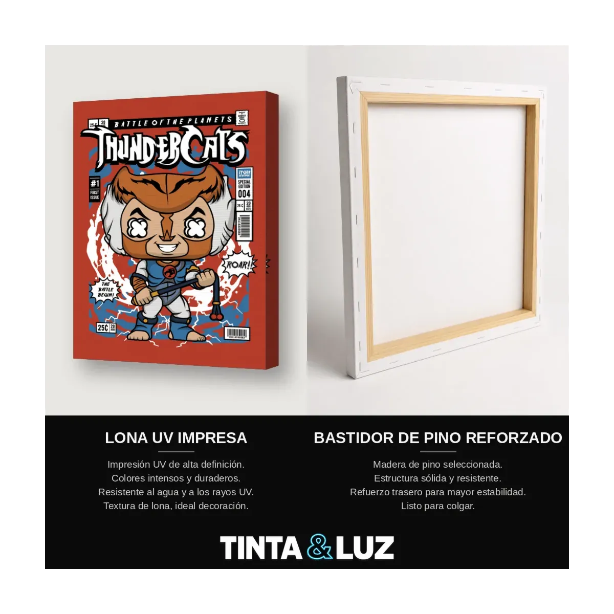 THUNDERCATS