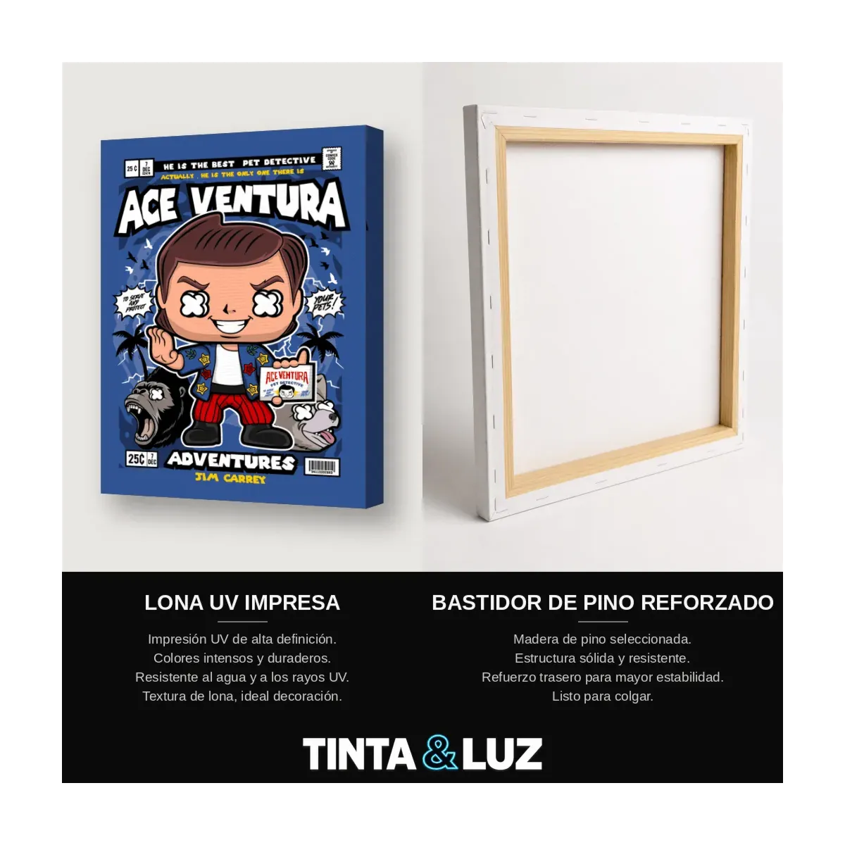 ACE VENTURA