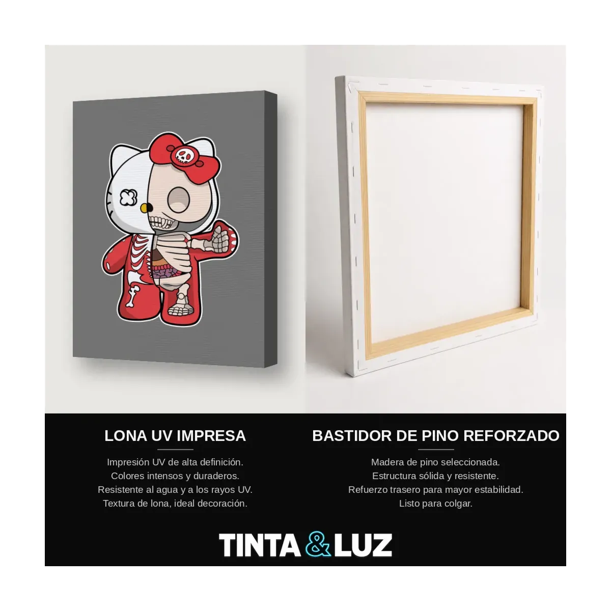 ROBOT ROSA RAYOS X