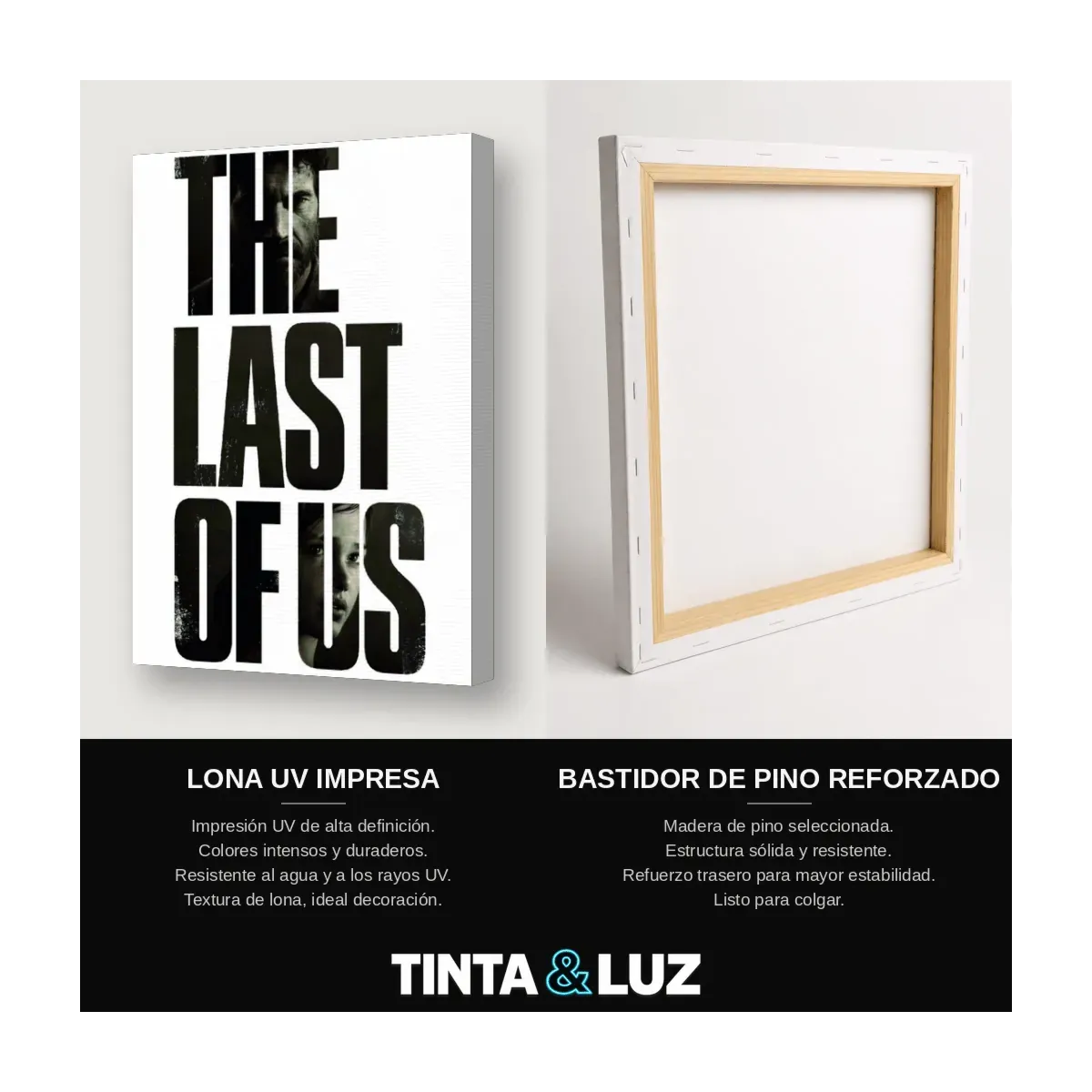 LAST OF US RUINAS