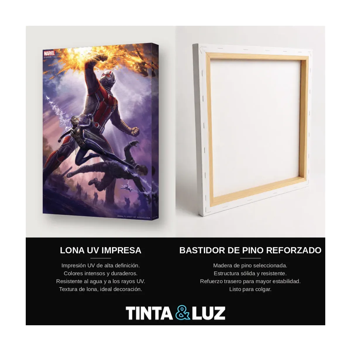SPIDER-MAN CÓSMICO