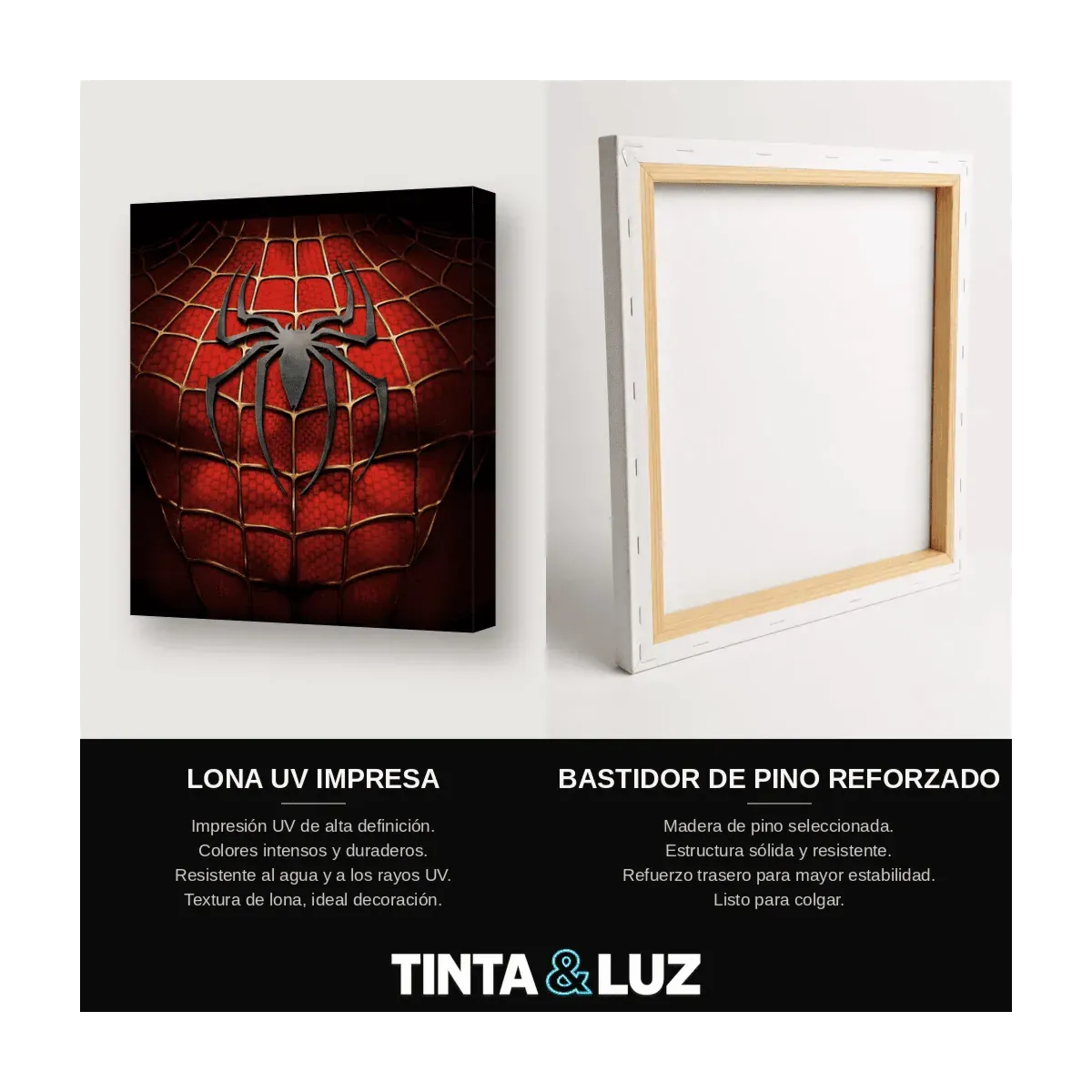 SPIDER-MAN EMBLEMA