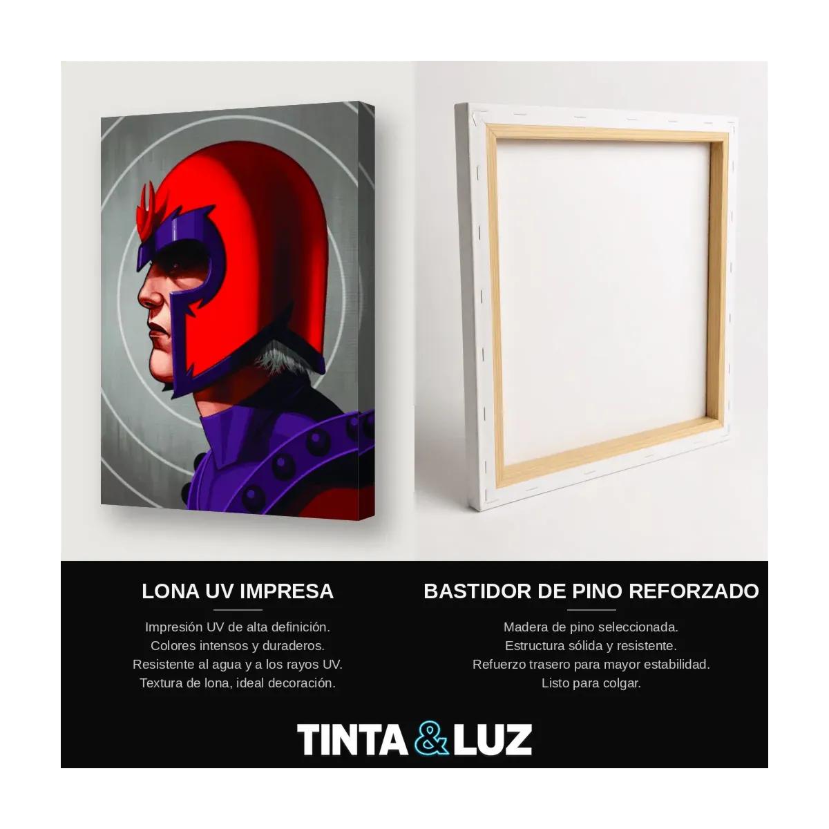 MAGNETO CASCO
