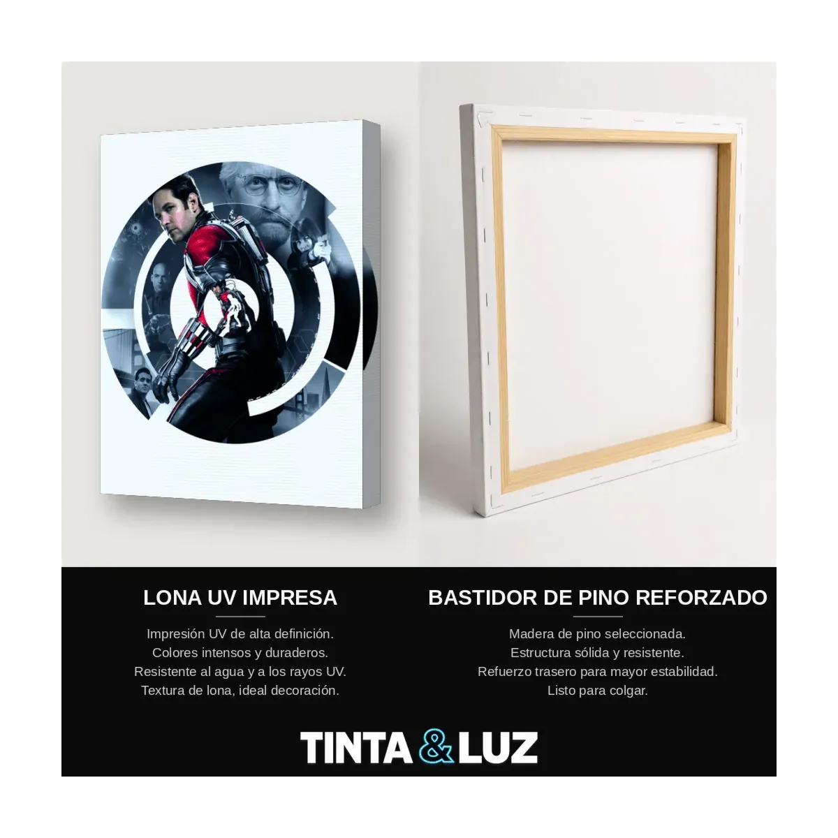 ANT-MAN PELÍCULA