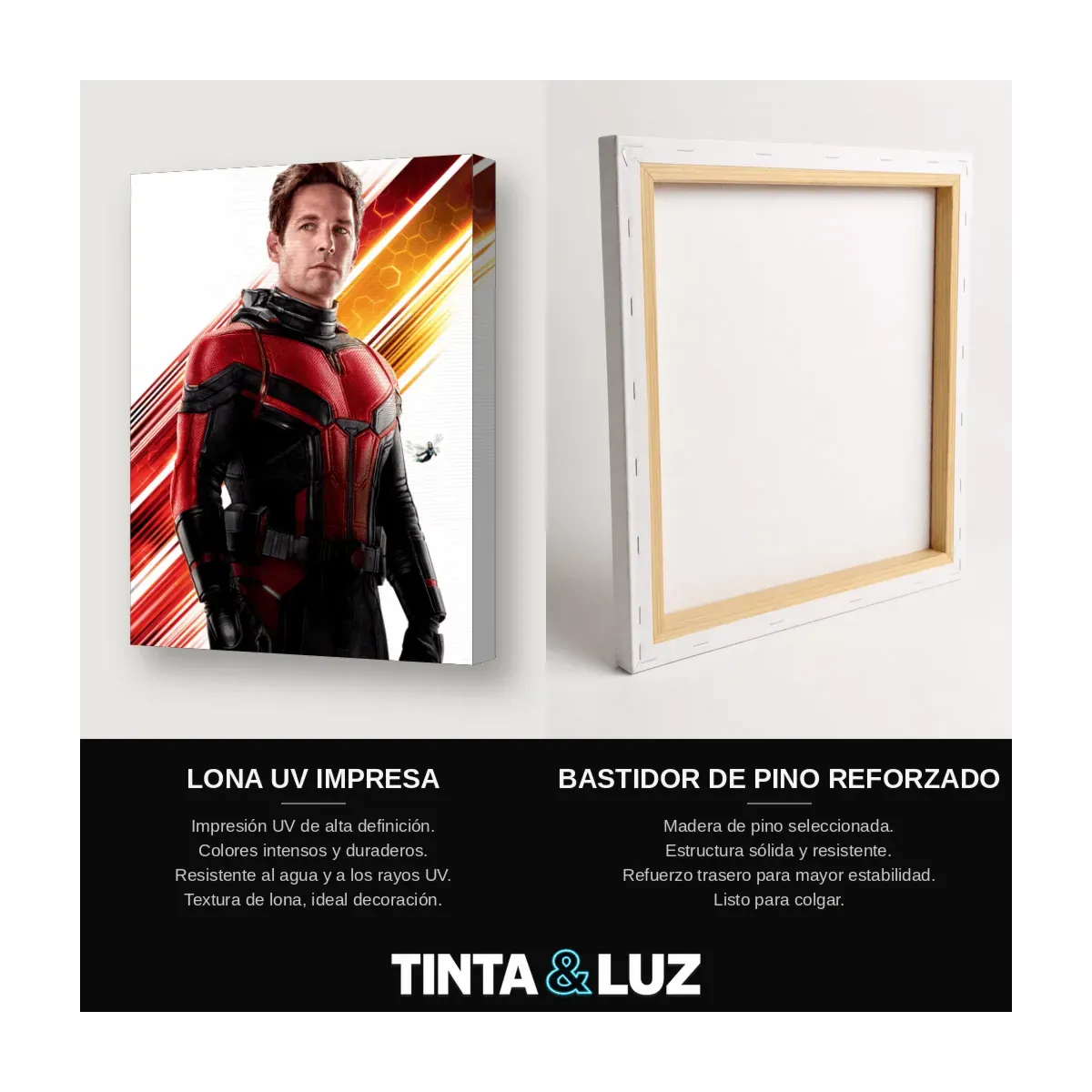 SCOTT LANG