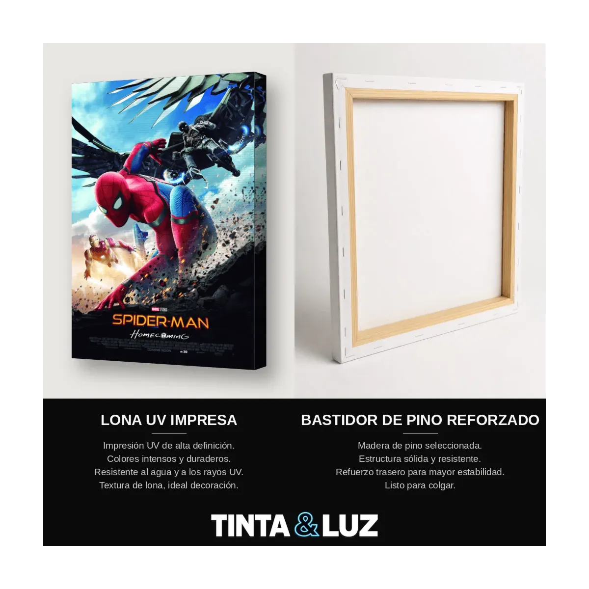 SPIDER-MAN HOMECOMING