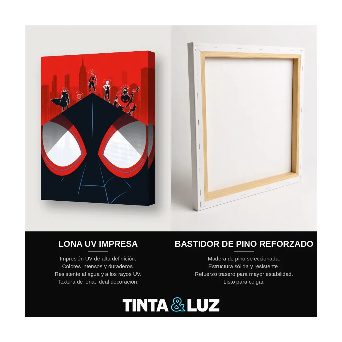 SPIDER-VERSE