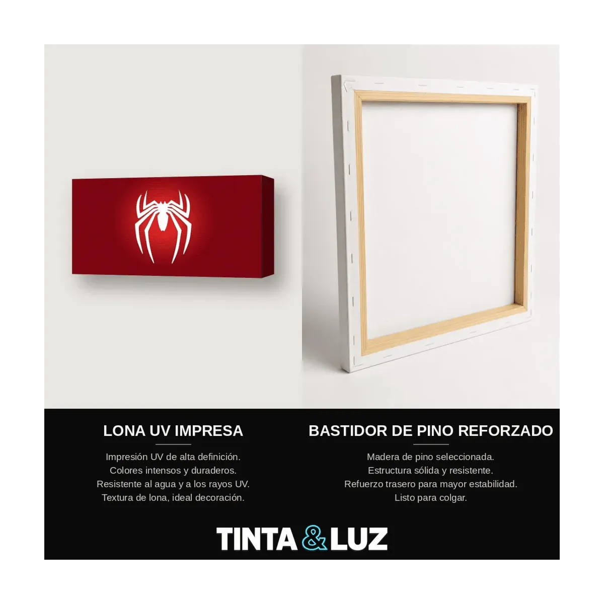 SPIDER-MAN SIGILO