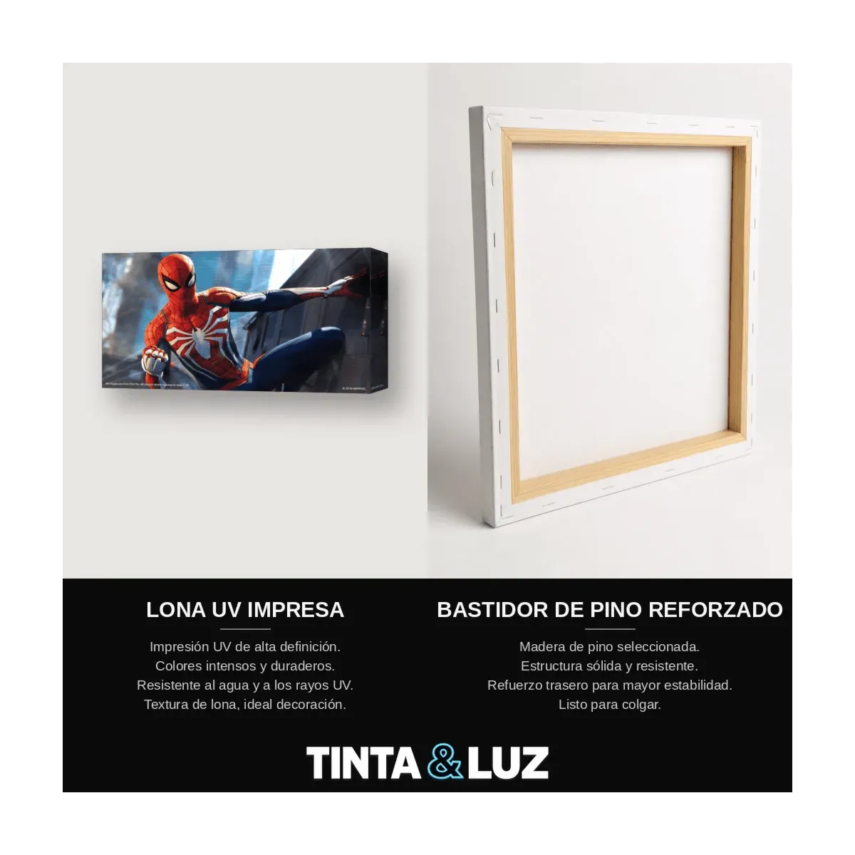 SPIDER-MAN EMBLEMA