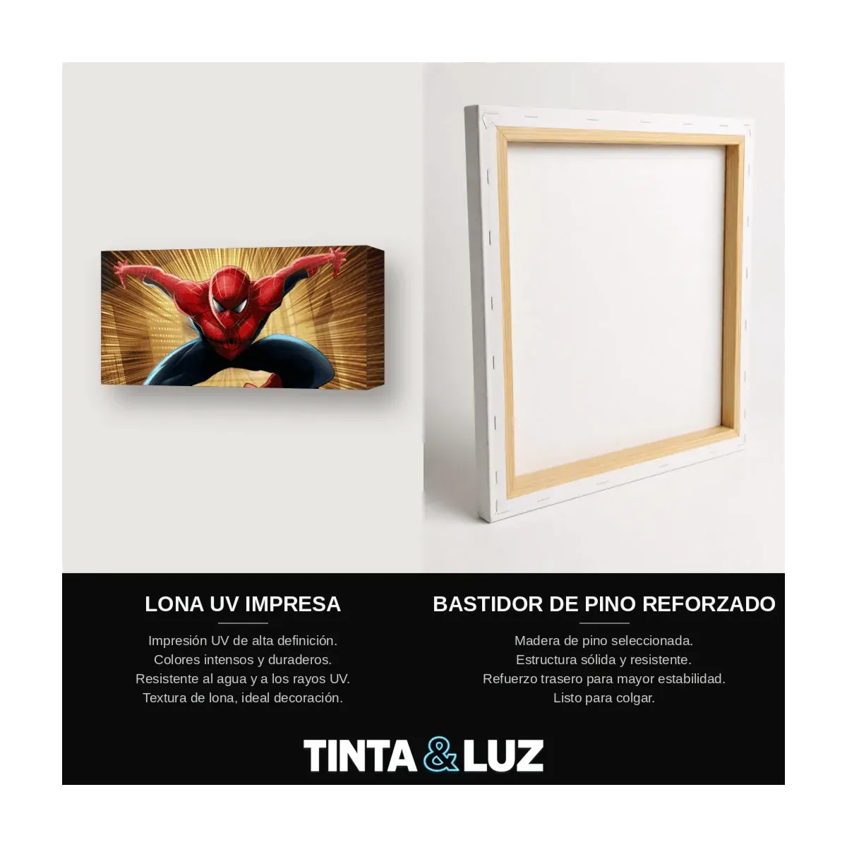 SPIDER-MAN VUELO