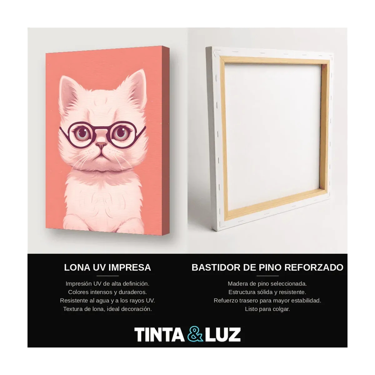 KOALA LENTES