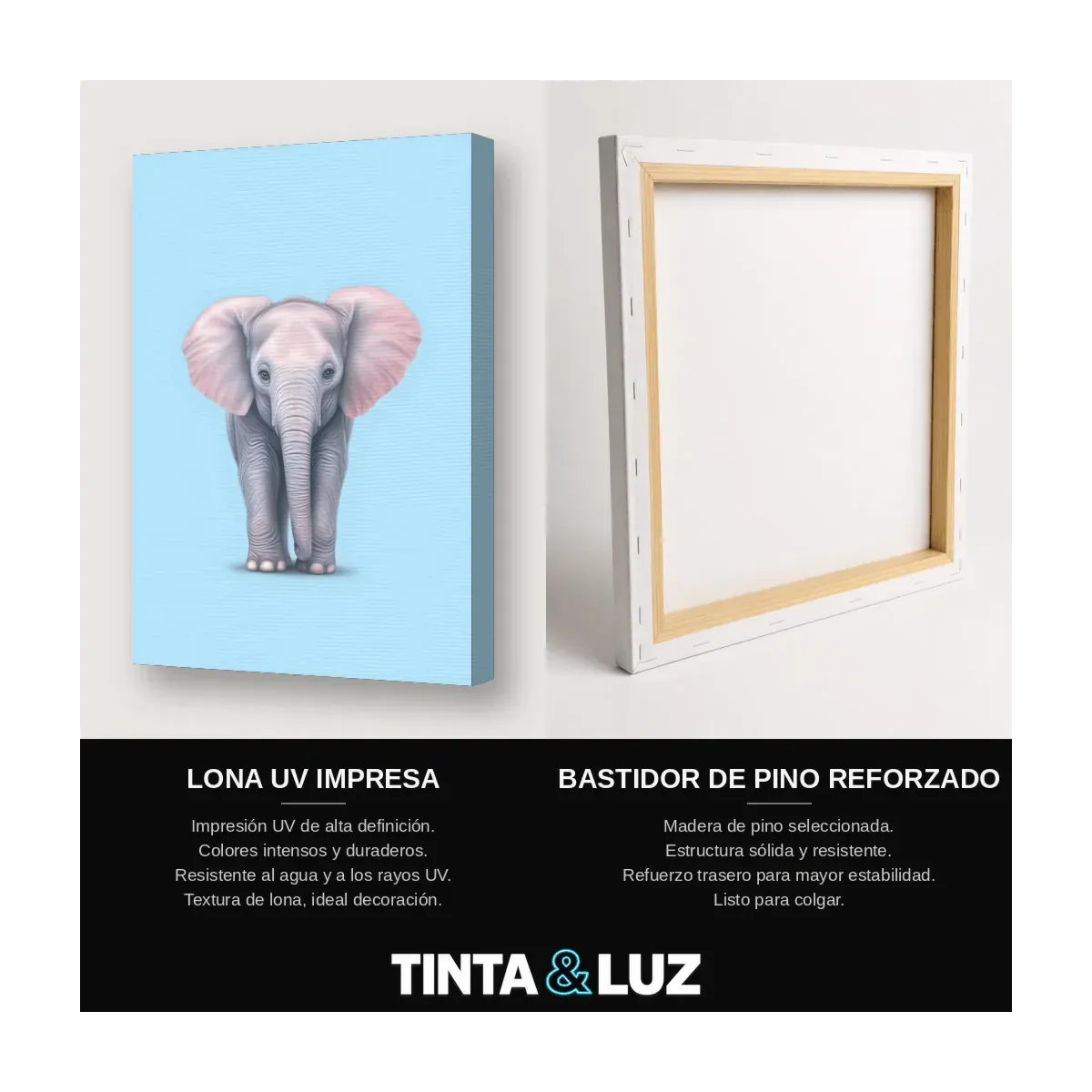 ELEFANTE BEBÉ