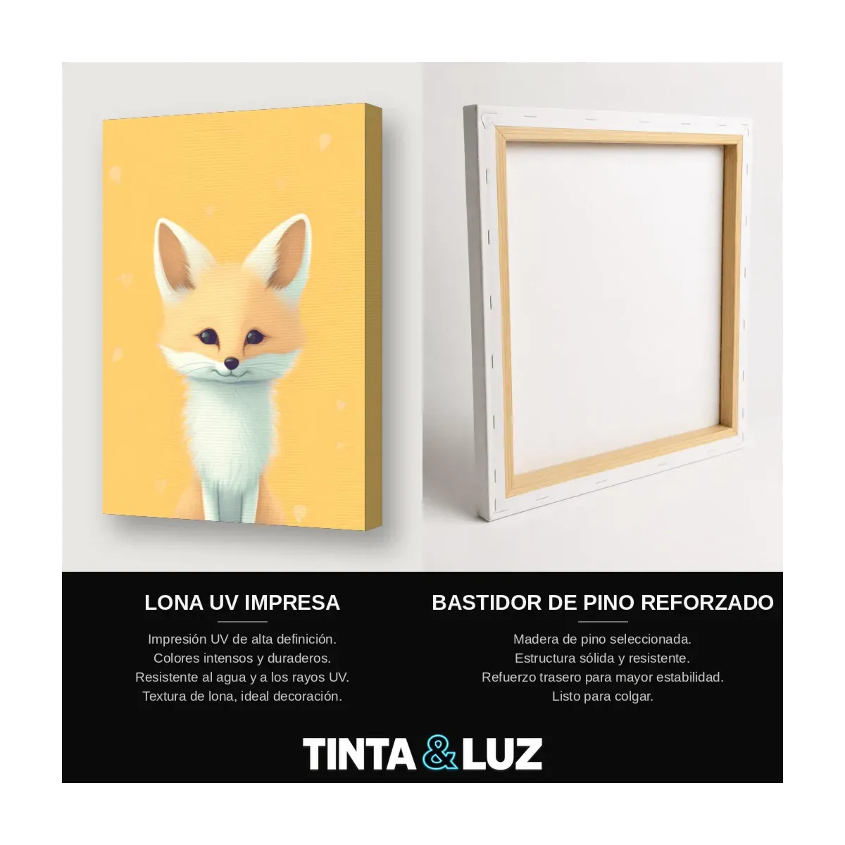 ZORRITO