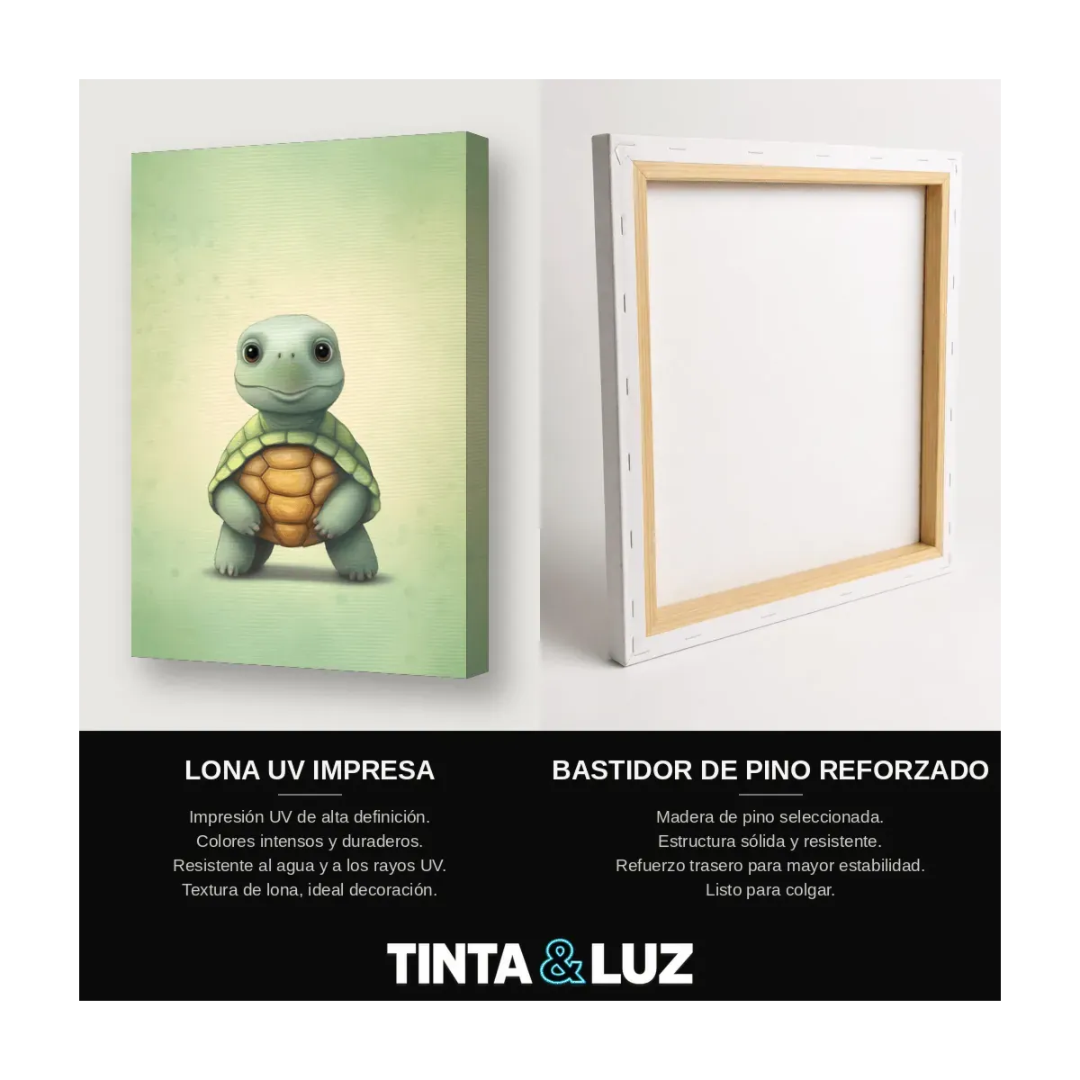 TORTUGA