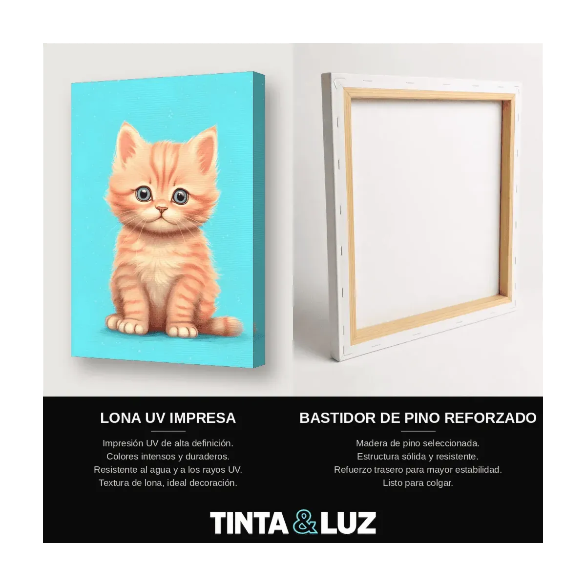 GATITO NARANJA