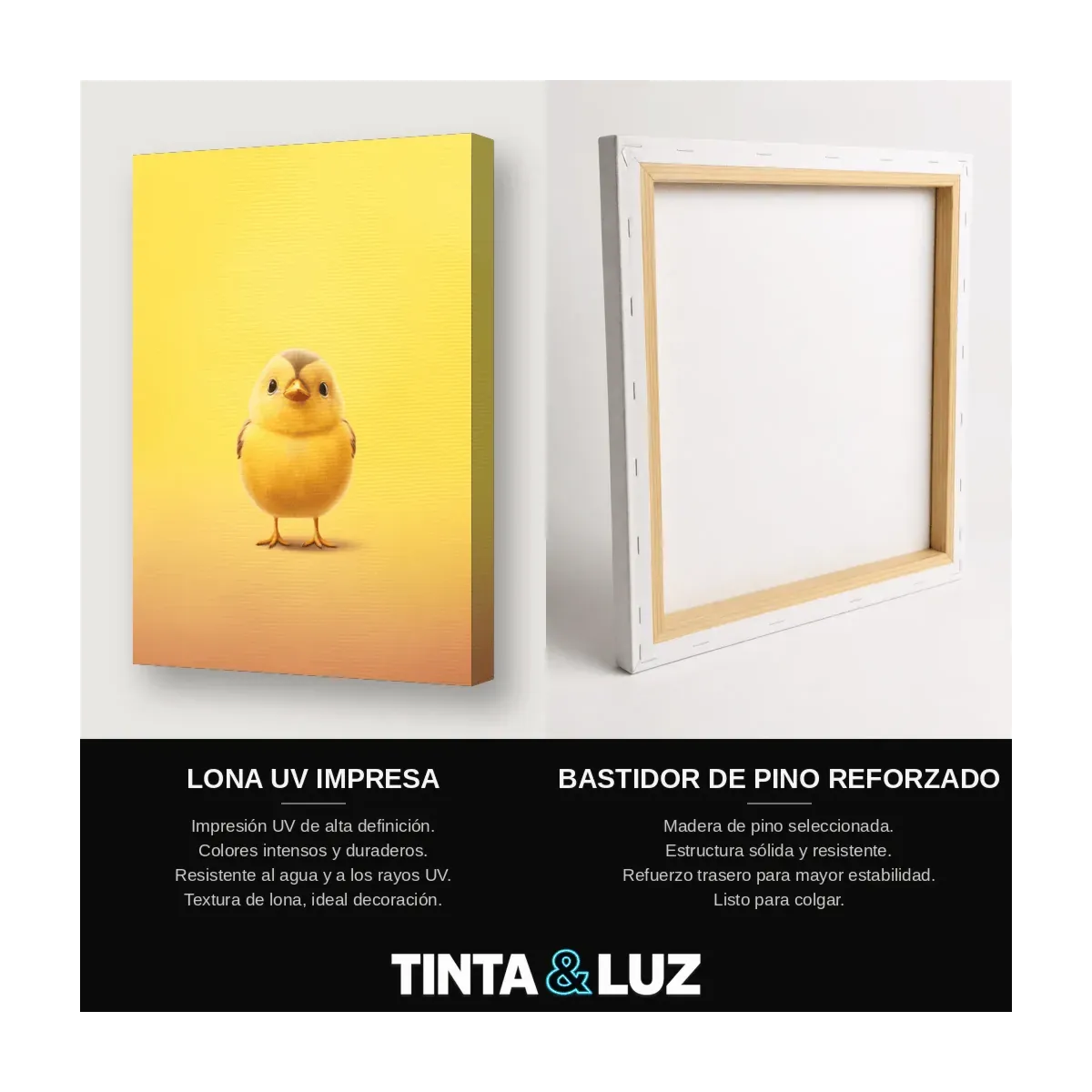 POLLITO