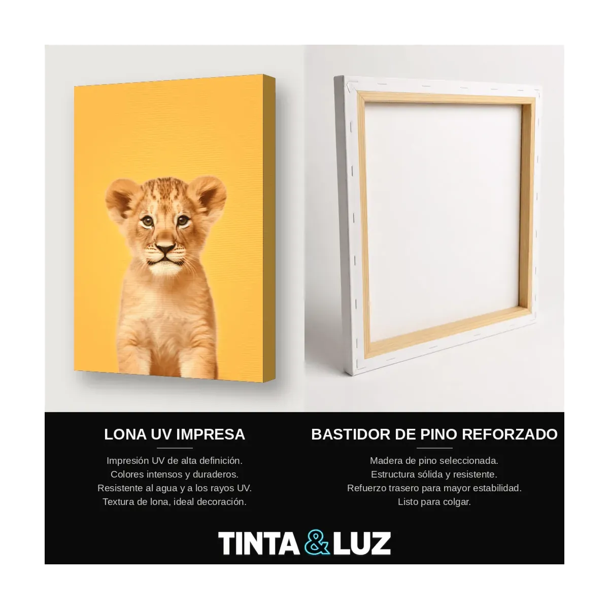 LEONCITO DORADO
