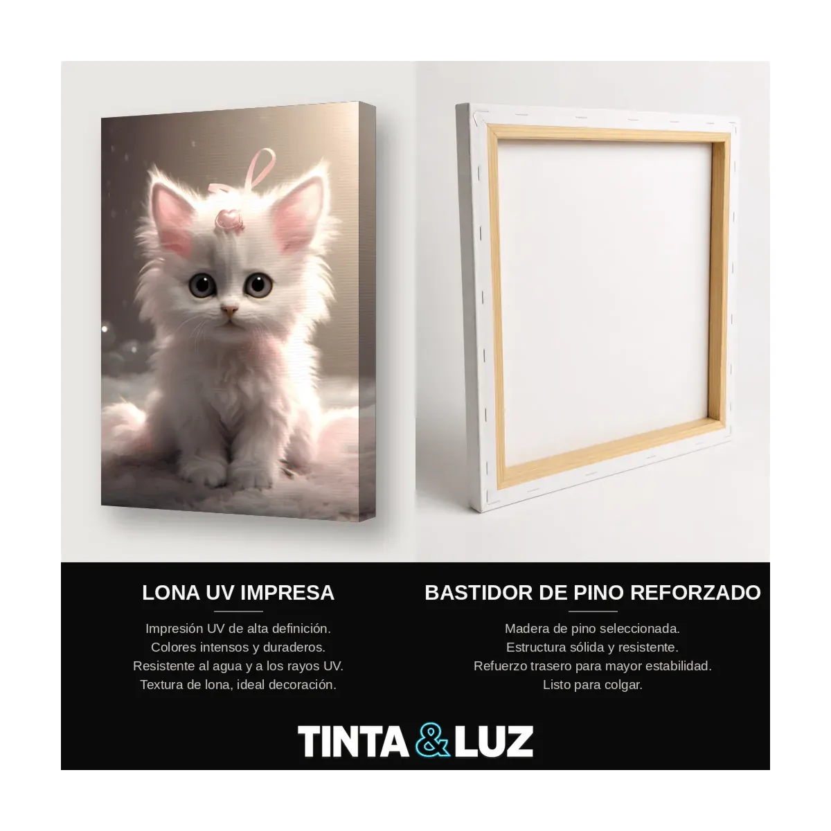 GATITO BLANCO