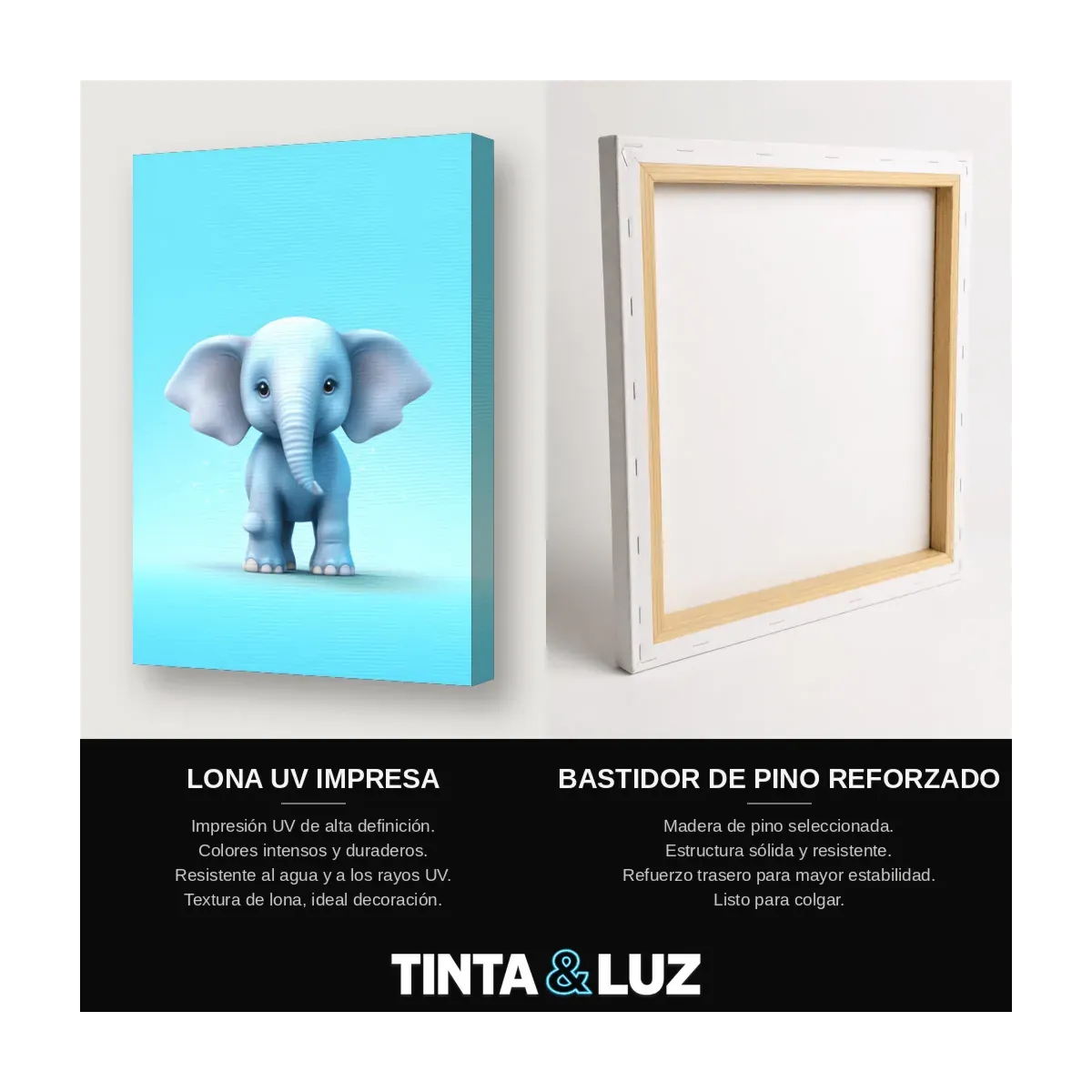 ELEFANTE TIERNO REAL