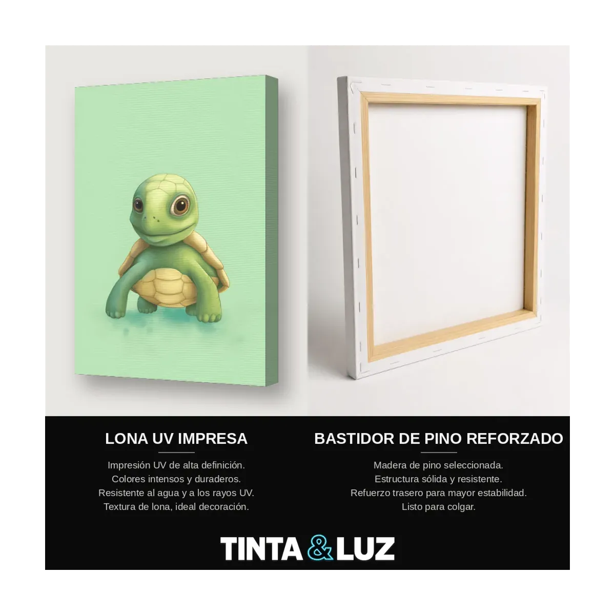 TORTUGA VERDE