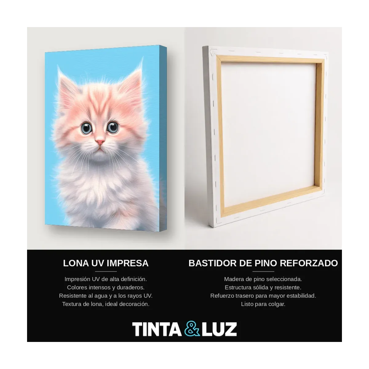 GATITO ROSADO