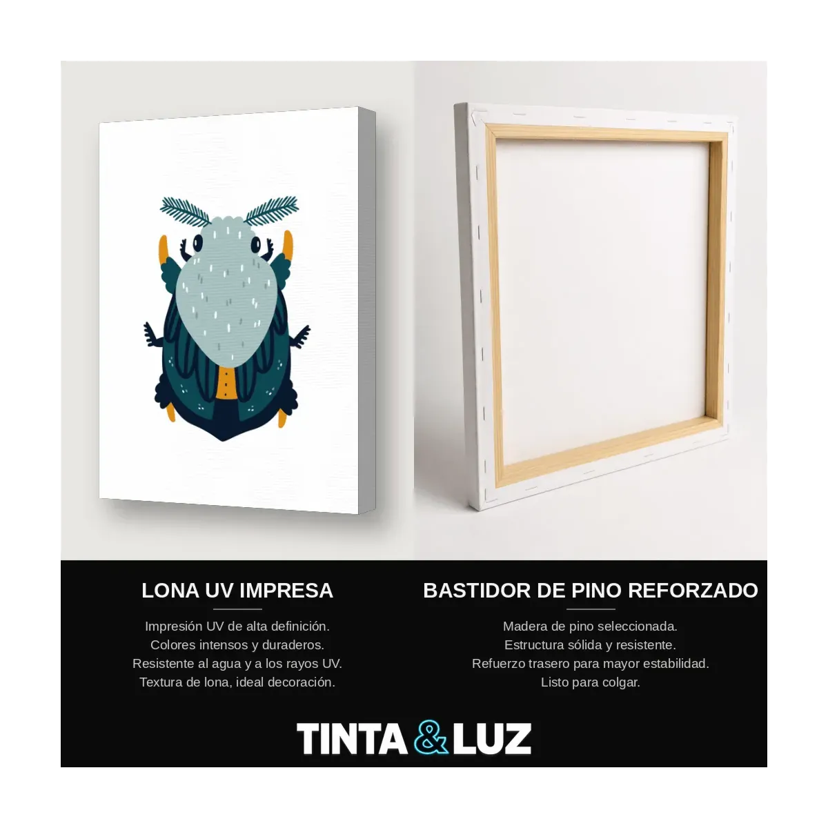 OSO AZUL