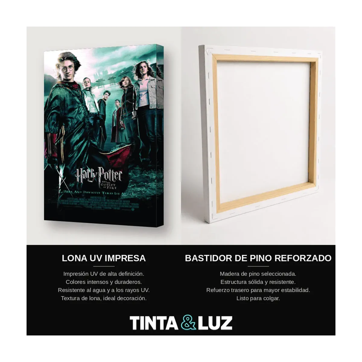 HARRY POTTER GRUPO