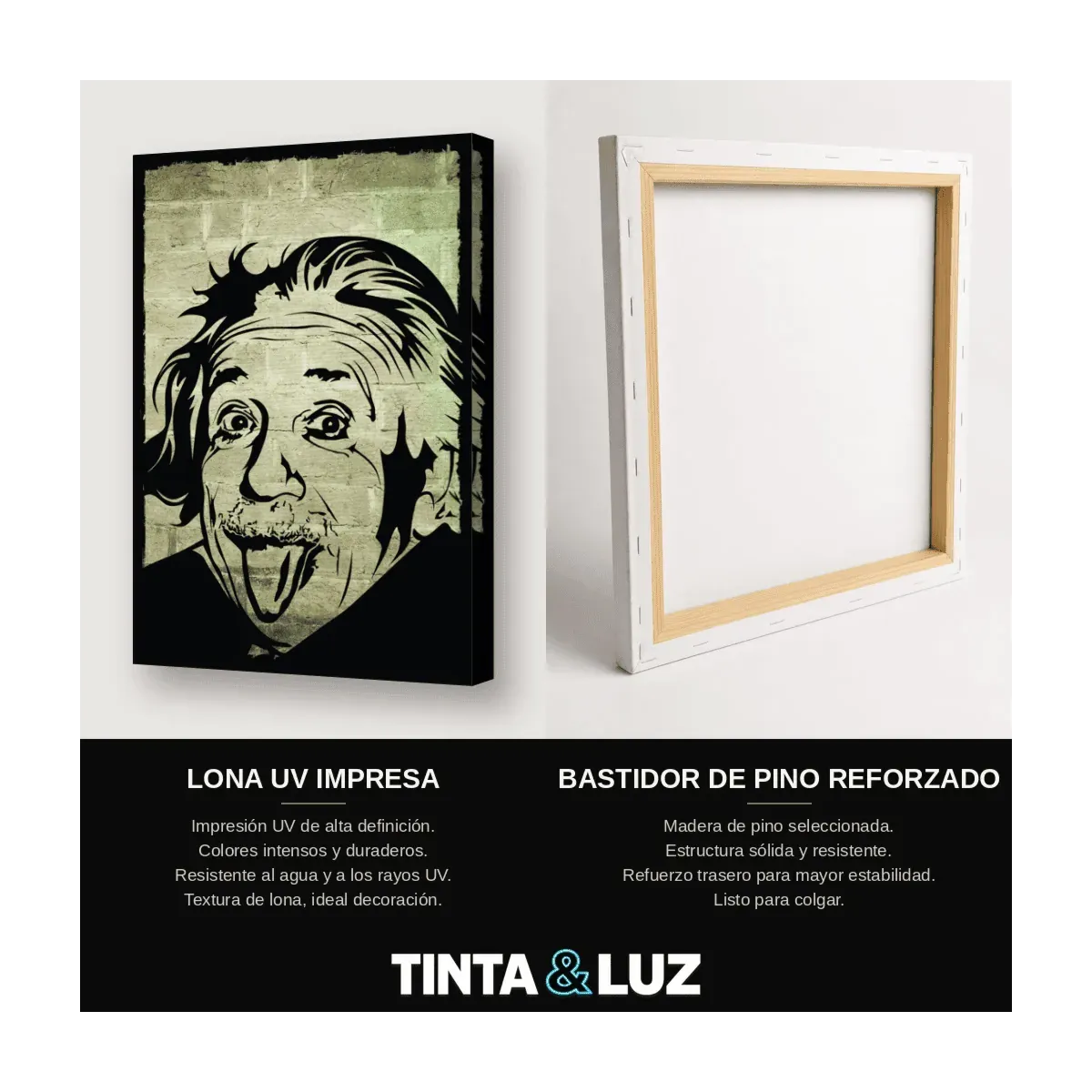 EINSTEIN LENGUA