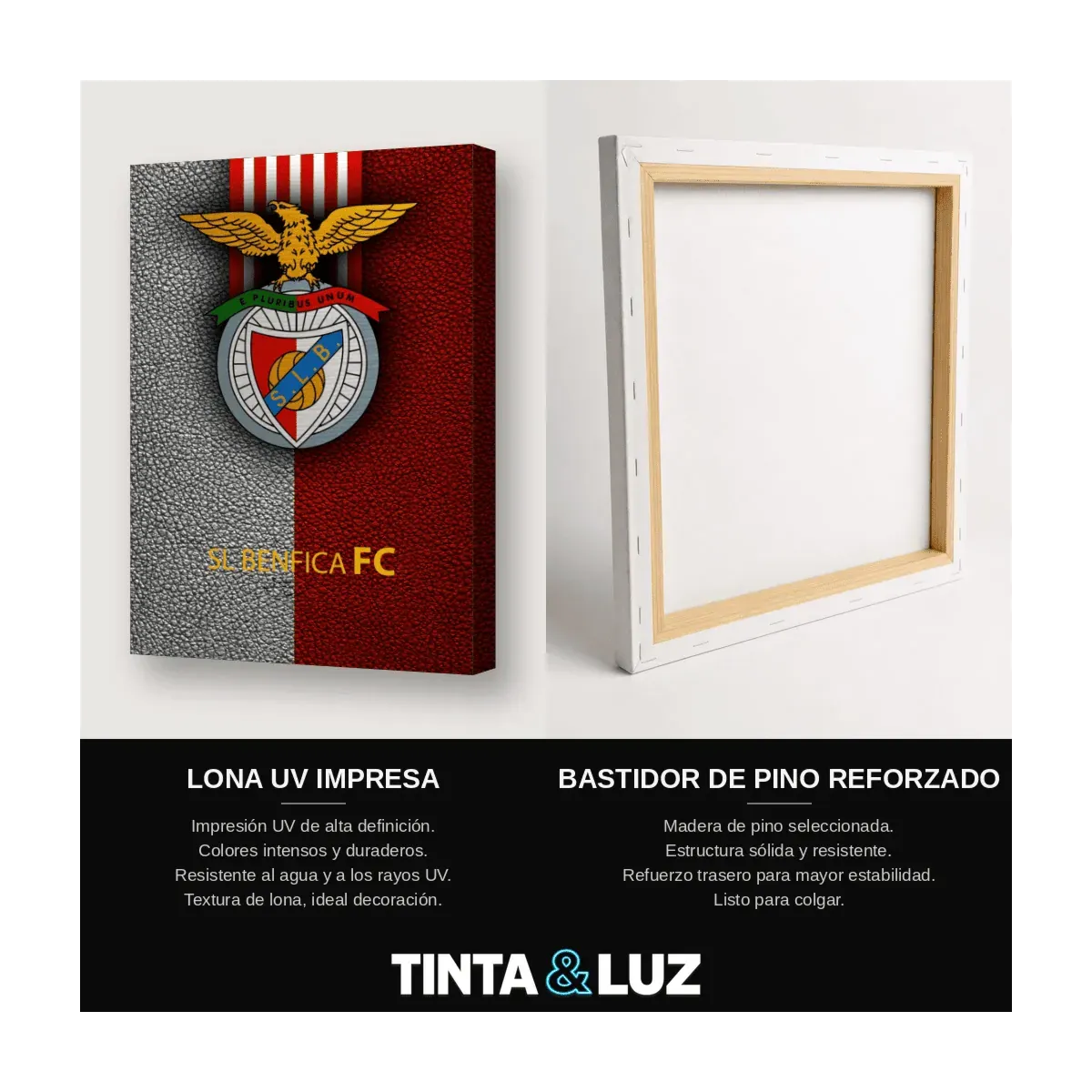 SL BENFICA