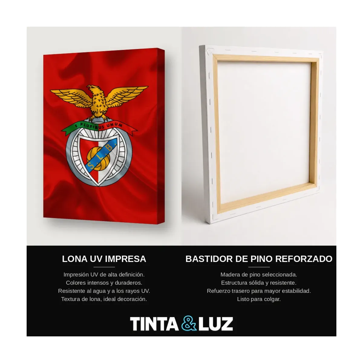 BENFICA ESCUDO