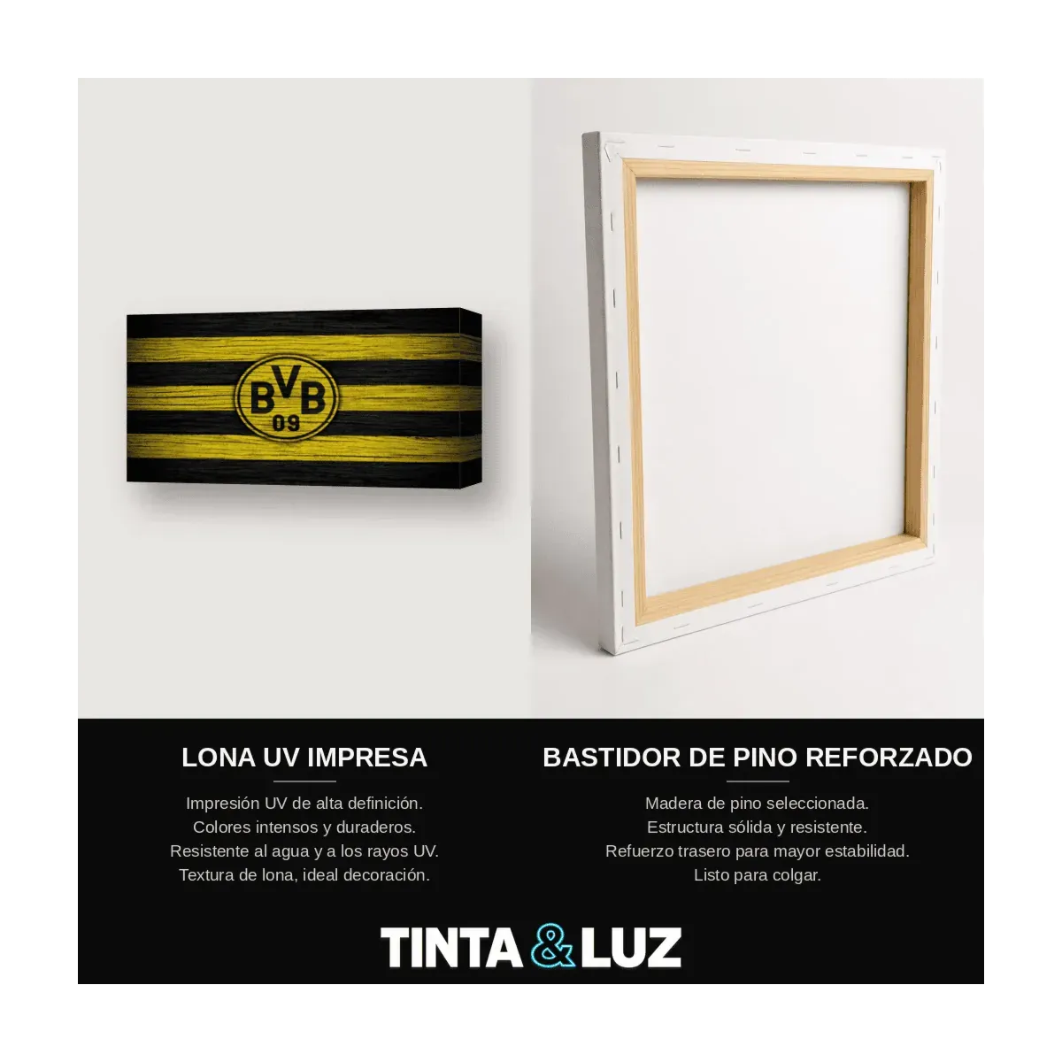 BVB ESCUDO