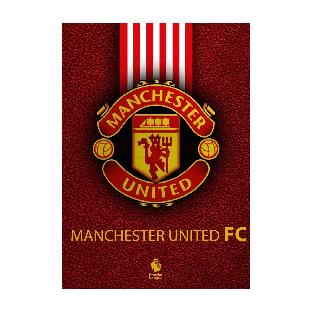 MANCHESTER UNITED ESCUDO