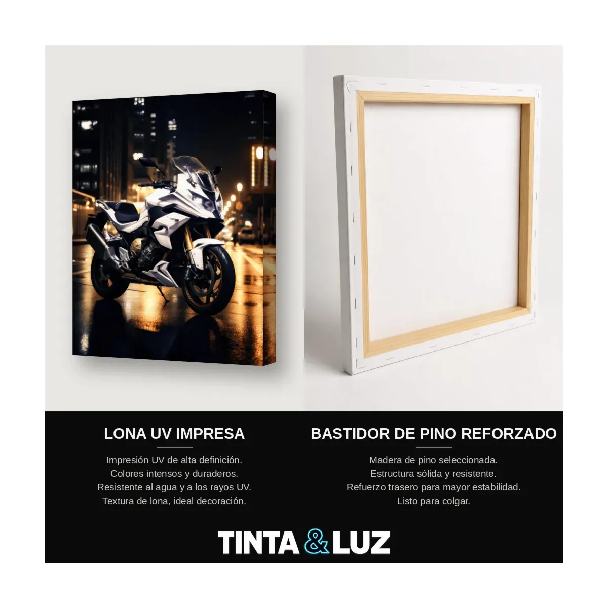 CRUISER BLANCA II