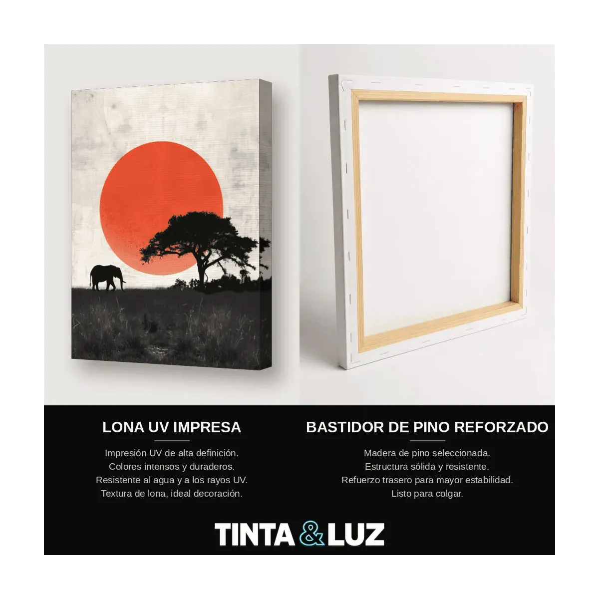 SOL Y ELEFANTES