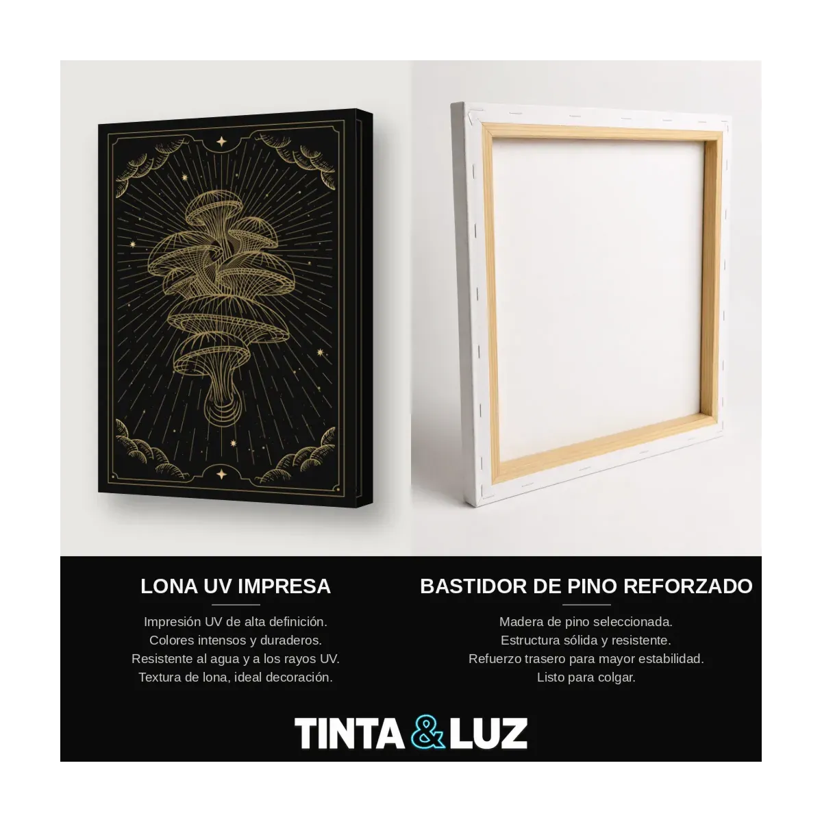 SERPIENTE LUNAR