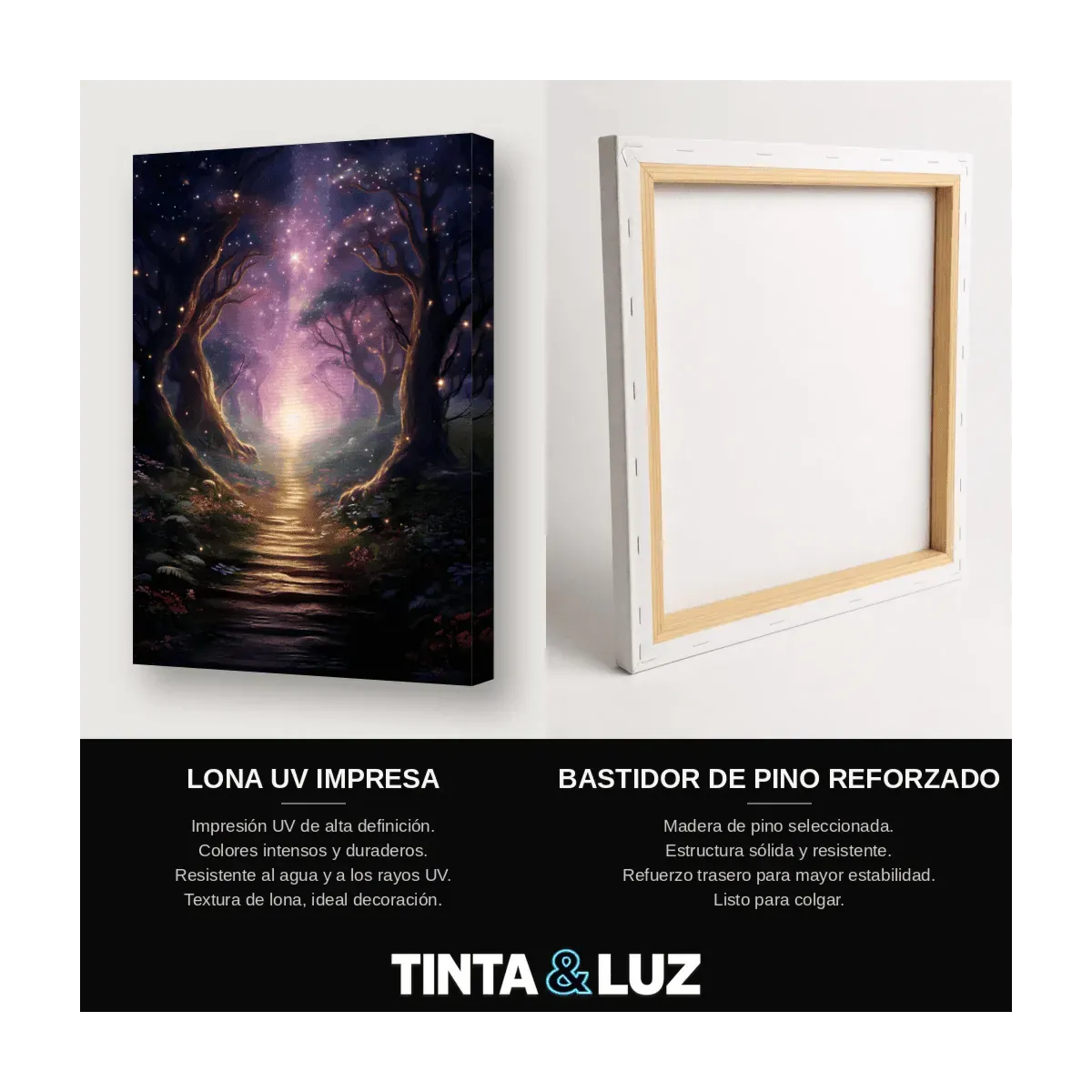 PORTAL DE LUZ