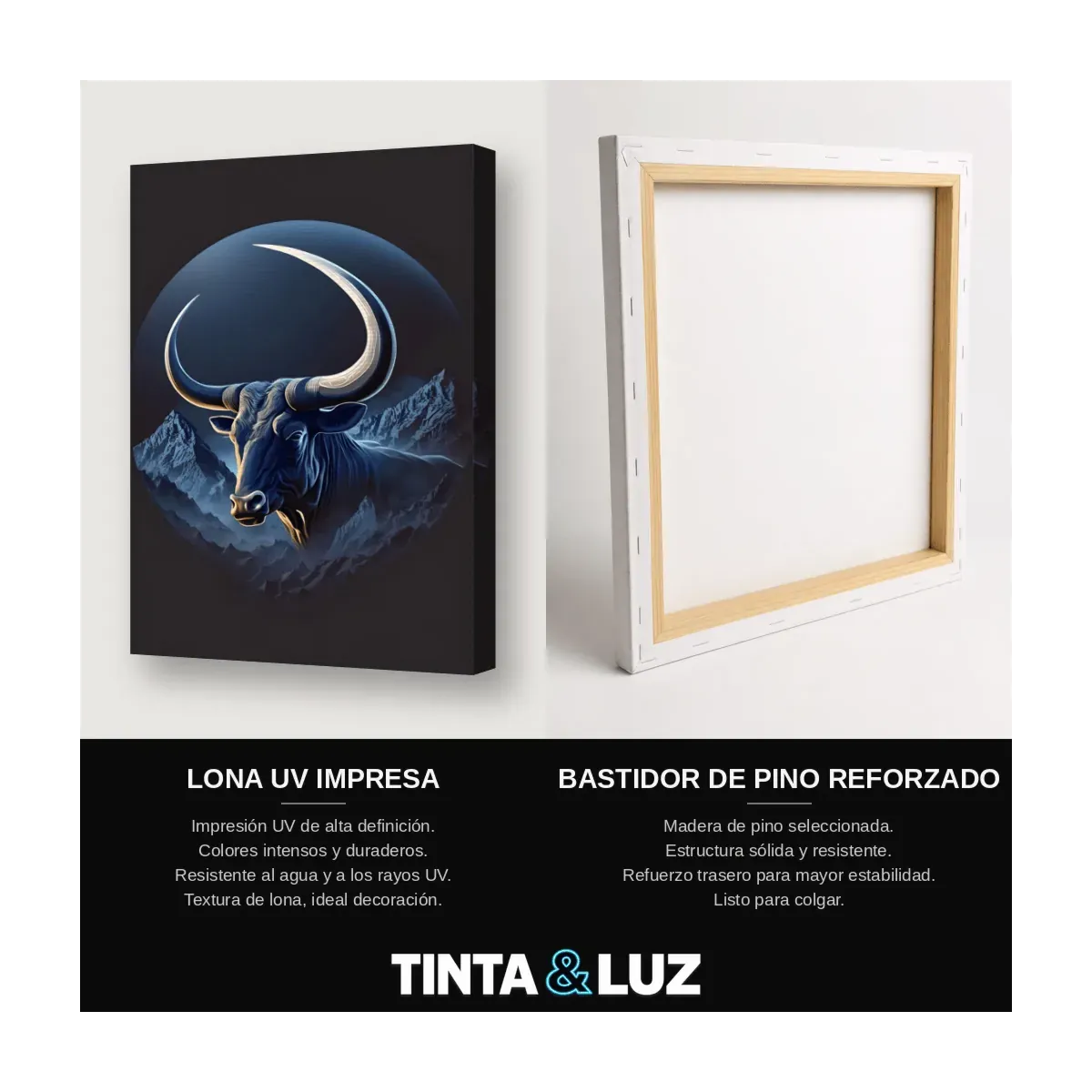 TORO LUNAR