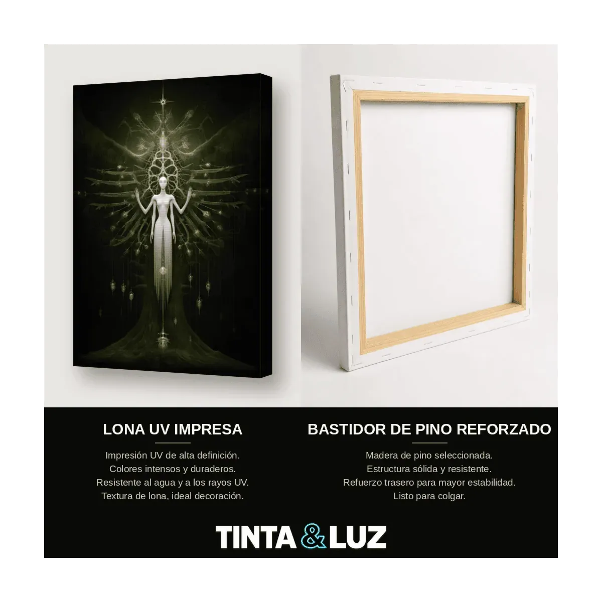 ÁNGEL DE LUZ