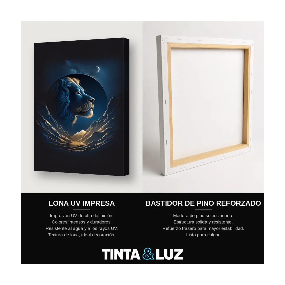 LUNA Y LEÓN