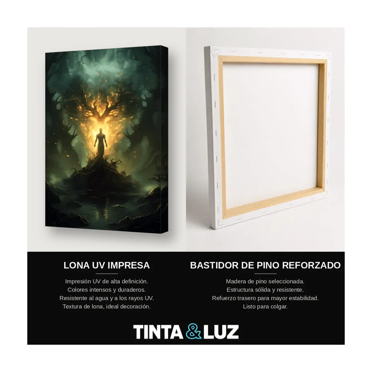 ÁRBOL ILUMINADO